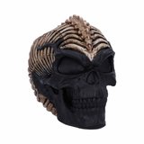 Statueta craniu Spine Head 18cm